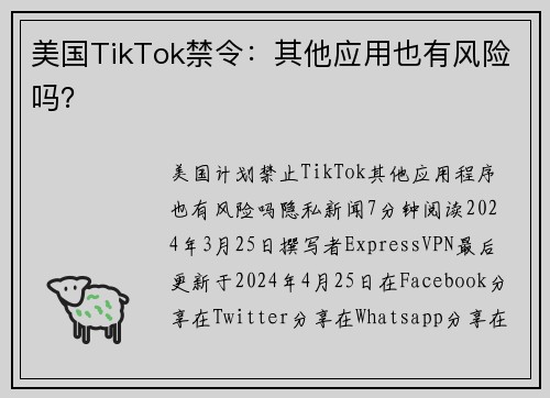 美国TikTok禁令：其他应用也有风险吗？ 